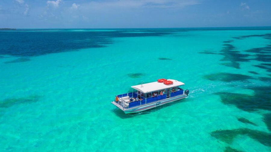 Key West: Dolphin Watching and Snorkeling Eco Cruise Tour - Should you book this dolphin watching and snorkeling eco-cruise?