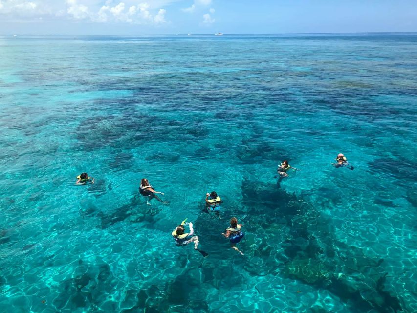 Key West: Dolphin Watching and Snorkeling Sunset Cruise - Sunset Time: The Draft Beer Route to a Golden Hour Return