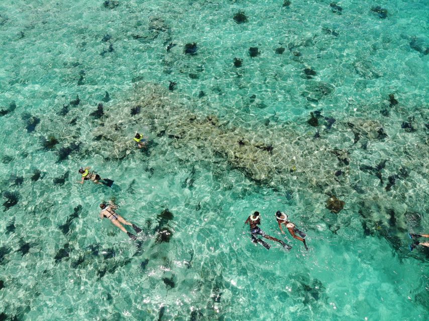 Key West: Dolphin Watching and Snorkeling Sunset Cruise - Setting Off: Boarding, Crew Energy, And Finding Your Sea Legs