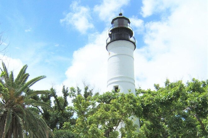 Key West: Dolphin Watching cruise & Snorkeling unlimited beer & soda - Dolphin and Reef Time From the Historic Seaport Pier
