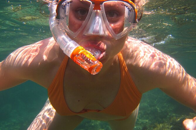 Key West: Dolphin Watching cruise & Snorkeling unlimited beer & soda - Snorkeling on Key West Reefs: What You Can Expect to See