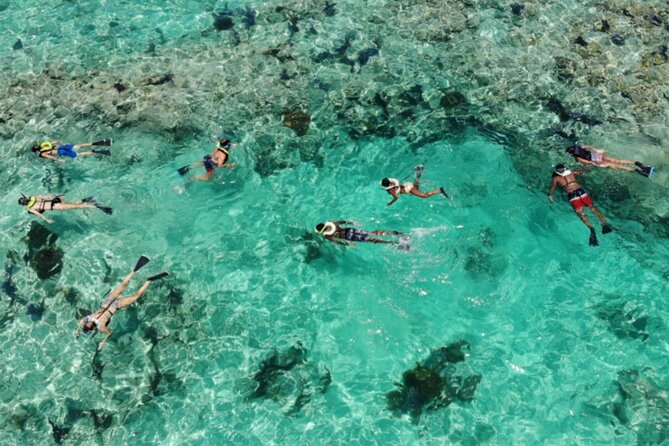 Key West: Dolphin Watching cruise & Snorkeling unlimited beer & soda - What Weather Can Change (And How You’ll Still Get Value)