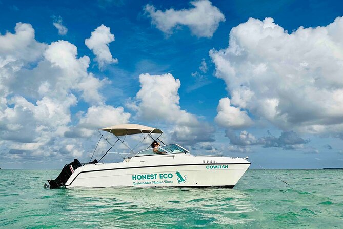 Key West Private Charter: Sandbar and Snorkeling - What’s Included in the Charter (and What You’ll Need)