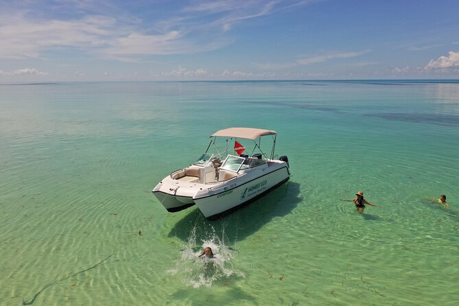 Key West Private Charter: Sandbar and Snorkeling - Planning Tips to Make Your 4 Hours Feel Effortless