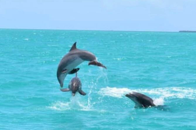 Key West's Favorite Afternoon Dolphin Sail - Historic Seaport to Sunset Key: The Route That Makes Time Feel Short