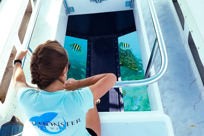 Key West: Snorkel, Sandbar & Dolphin Excursion - Florida Keys National Marine Sanctuary: What You See Through the Glass