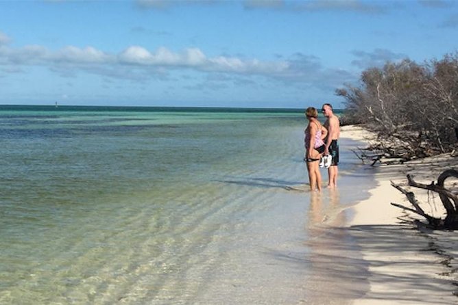 Key West: Snorkel, Sandbar & Dolphin Excursion - How the Crew Turns Wildlife into Easy-to-Spot Moments