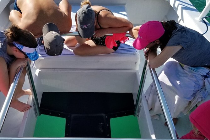 Key West: Snorkel, Sandbar & Dolphin Excursion - Price and What $800 per Group Really Covers
