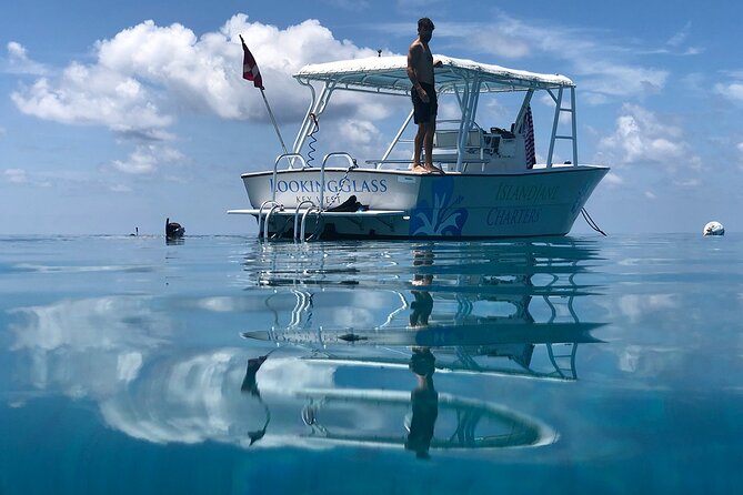 Key West: Snorkel, Sandbar & Dolphin Excursion - Timing, Meeting Point, and What to Bring