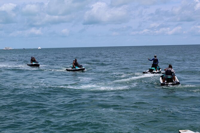 Key West Tours from Miami: Dolphin Discovery, Snorkeling & More ! - Dolphin Watch: what’s included and what’s off-limits