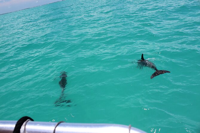 Key West Tours from Miami: Dolphin Discovery, Snorkeling & More ! - Glass bottom boat food and drink math (and what costs extra)
