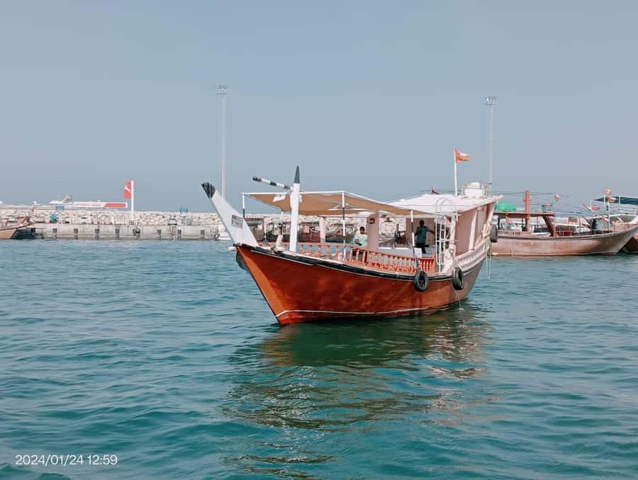 Khasab: Dhow Cruise with Lunch, Dolphin Watching& Snorkeling - Why the Musandam fjords change the whole dolphin-watching game