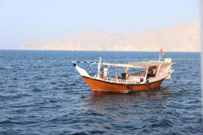 Khasab: Dhow Cruise with Lunch, Dolphin Watching& Snorkeling - Price and value: what $53 really buys you