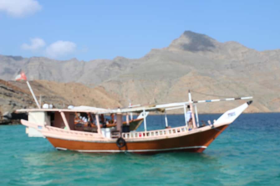 Khasab: Dhow Cruise with Lunch, Dolphin Watching& Snorkeling - What to pack for a 6-hour dhow cruise day