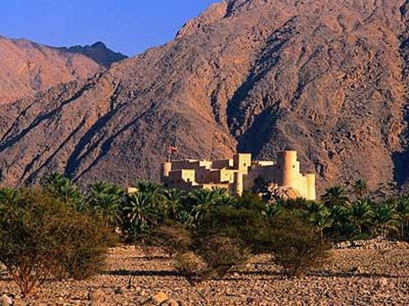 Khasab Full Day Dhow Cruise With Enjoying Snorkeling, Lunch & Dolphin Watching - Key Highlights You’ll Actually Care About