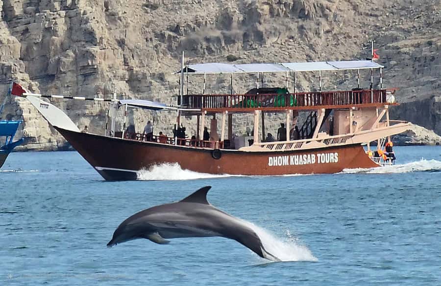 Khasab: Half-Day Dhow Cruise, Dolphin Watching, & Snorkeling - Dolphin Watching Near the Fishing Village: The Moment You’re Waiting For