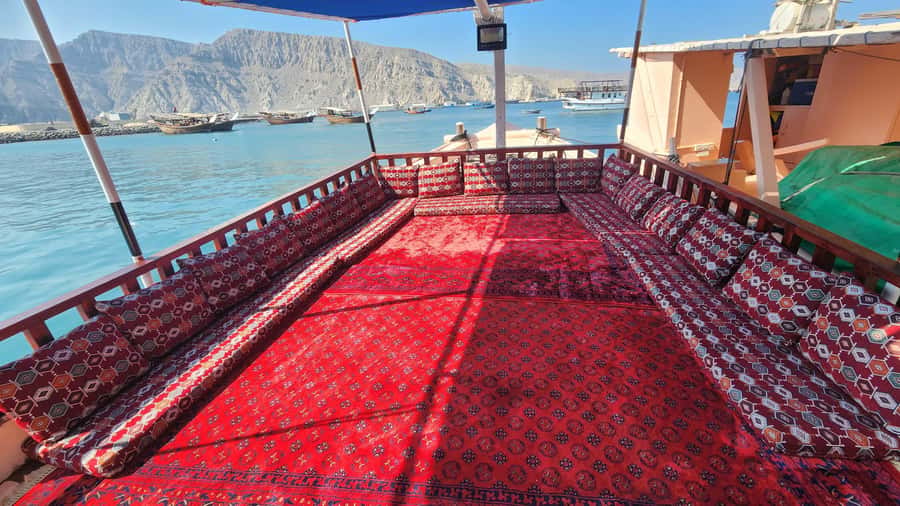 Khasab: Half-Day Dhow Cruise, Dolphin Watching, & Snorkeling - Who Should Book This Tour (and Who Might Skip)