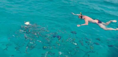 Khasab Musandam |Telegraph Island |Dhow Cruise | Dolphins - Getting to Khasab Port and Boarding the Traditional Dhow