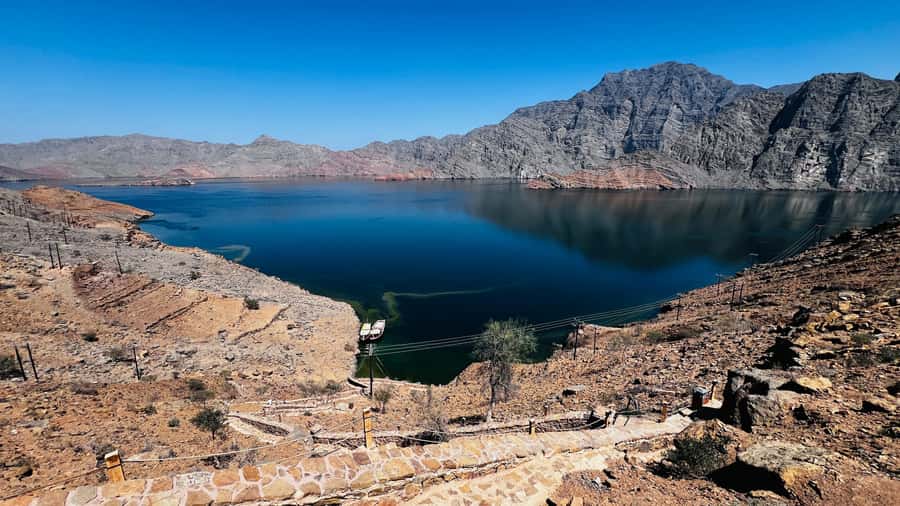 Khasab Musandam |Telegraph Island |Dhow Cruise | Dolphins - Who This Dhow Cruise Suits Best (and Who Should Skip)