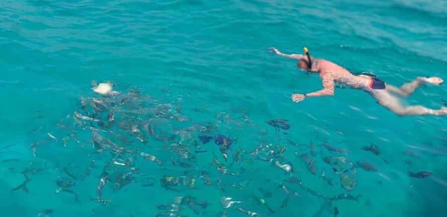 Khasab Musandam |Telegraph Island |Dhow Cruise | Dolphins - Getting to Khasab Port and Boarding the Traditional Dhow