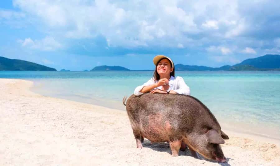 Koh Samui: Pink Dolphin, Pig Island, and Snorkeling Day Trip - Khanom beach lunch: simple comfort with sea-view payoff