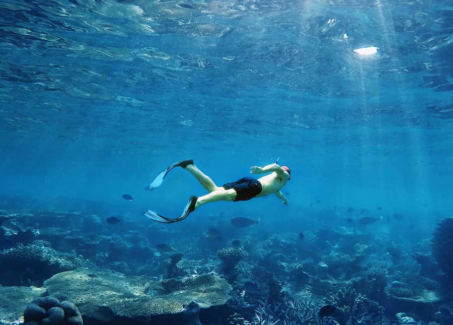 Koh Samui: Pink Dolphin, Pig Island, and Snorkeling Day Trip - Pig Island (Koh Madsum): the one-hour highlight for most people