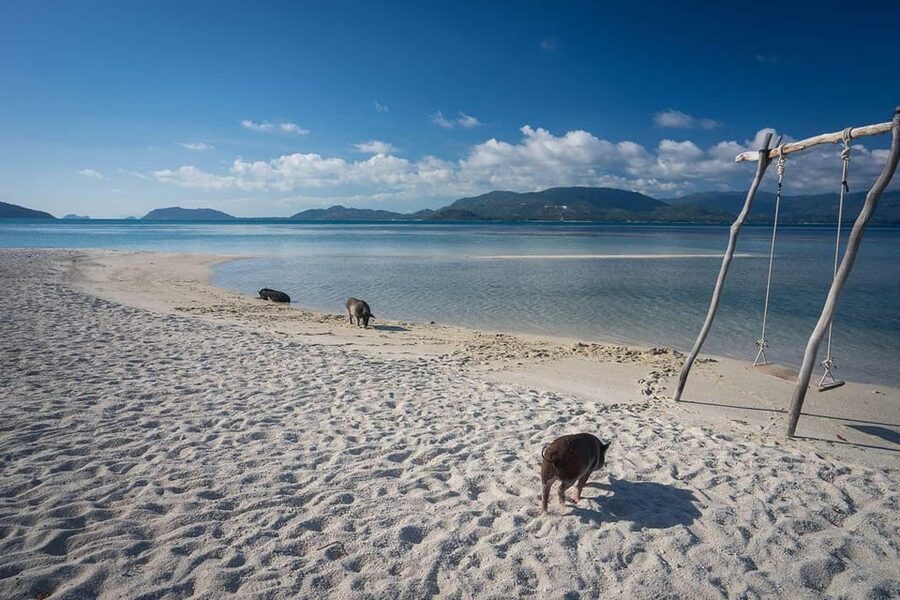 Koh Samui Pink Dolphin Sightseeing and Snorkelling Tour - The Day Stops: Khanom Area Sightseeing, Tean Island, and Ko Mat Sum