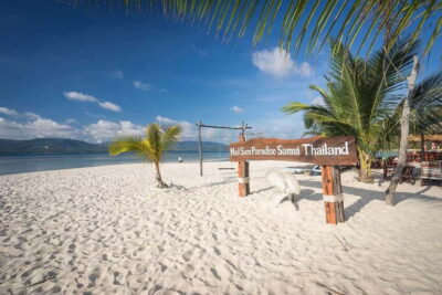 Koh Samui Pink Dolphin Sightseeing and Snorkelling Tour - The Speedboat Ride: Timing, Seating, and Realistic Dolphin Viewing