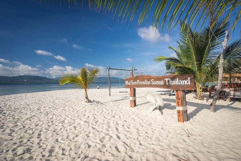 Koh Samui Pink Dolphin Sightseeing and Snorkelling Tour - The Speedboat Ride: Timing, Seating, and Realistic Dolphin Viewing