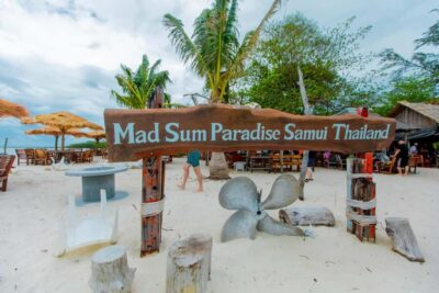 Koh Samui: Pink Dolphin Spotting & Pig Island Speedboat Tour - Price and What $72 Really Buys You