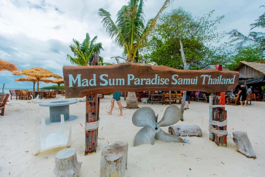 Koh Samui: Pink Dolphin Spotting & Pig Island Speedboat Tour - Price and What $72 Really Buys You