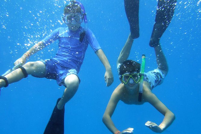 Kona Shore Excursion: Wild Dolphin Reefs Snorkel and Sea Caves - Lunch, snacks, and snorkel gear: the small details that reduce stress