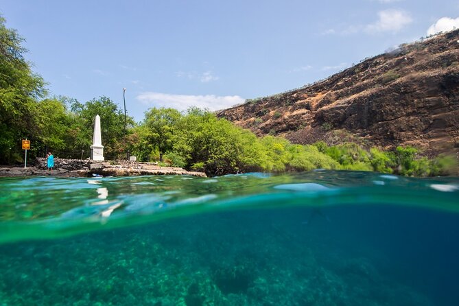 Kona Shore Excursion: Wild Dolphin Reefs Snorkel and Sea Caves - Price and value: is $149 for a Kona snorkeling shore excursion fair?