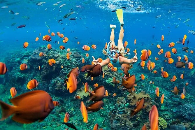Kona Snorkel Tour: Captain Cook Reef Snorkel, Dolphin & Sea Caves - The Captain Cook Monument Area: Why This Stop is More Than a Photo Break