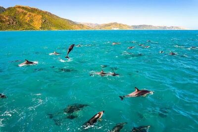 Kona Snorkel Tour: Captain Cook Reef Snorkel, Dolphin & Sea Caves - Getting to Kealakekua Bay Fast: Boat Ride Timing, Comfort, and Motion