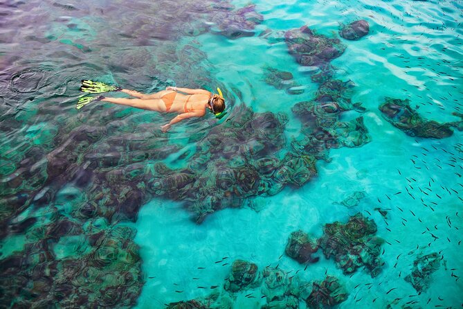 Kona Snorkel Tour: Captain Cook Reef Snorkel, Dolphin & Sea Caves - Snacks, Water, and the Little Things That Keep You Happy