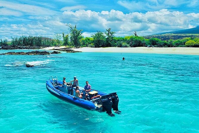 Kona Snorkel Tour: Captain Cook Reef Snorkel, Dolphin & Sea Caves - Price and Value: What $71.10 Buys You on the Big Island