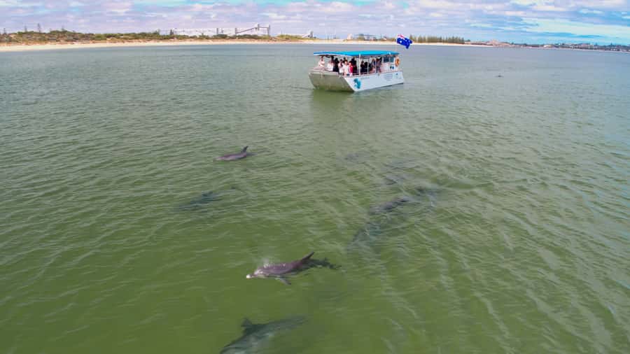 Koombana Bay: Dolphin Eco Cruise - Getting started at the Dolphin Discovery Centre in Bunbury