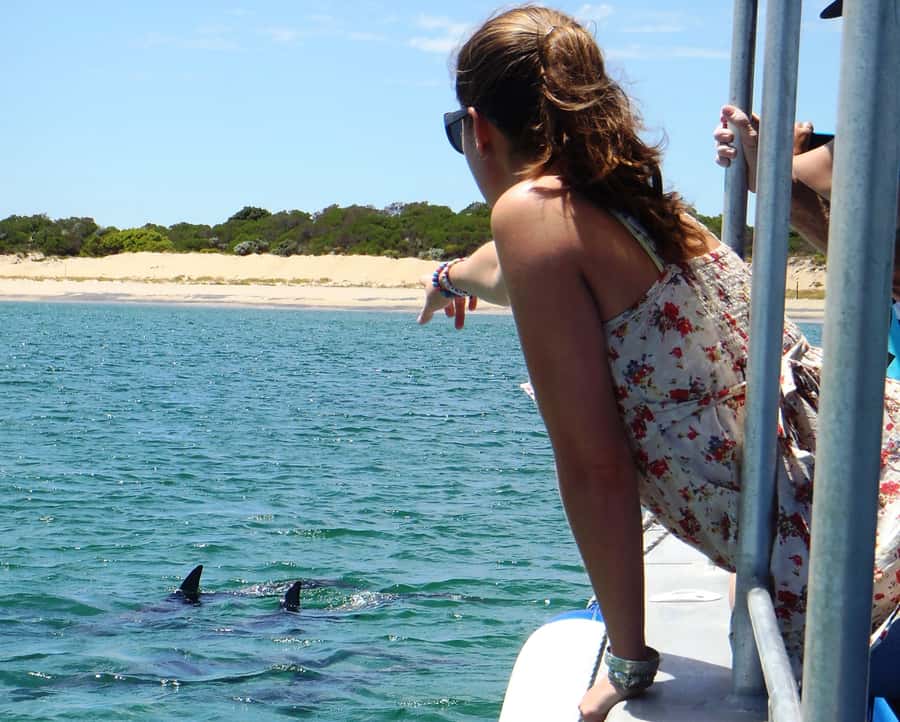 Koombana Bay: Dolphin Eco Cruise - Comfort and practical tips: what to bring for a 90-minute outing