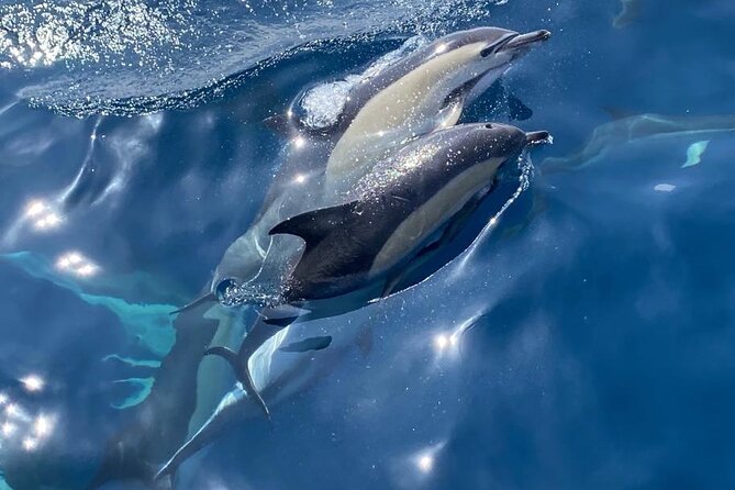 La Herradura: Sailboat with a view of dolphins-Shared - The 12-Meter Sailboat Setup: Small, Quiet, and Practical