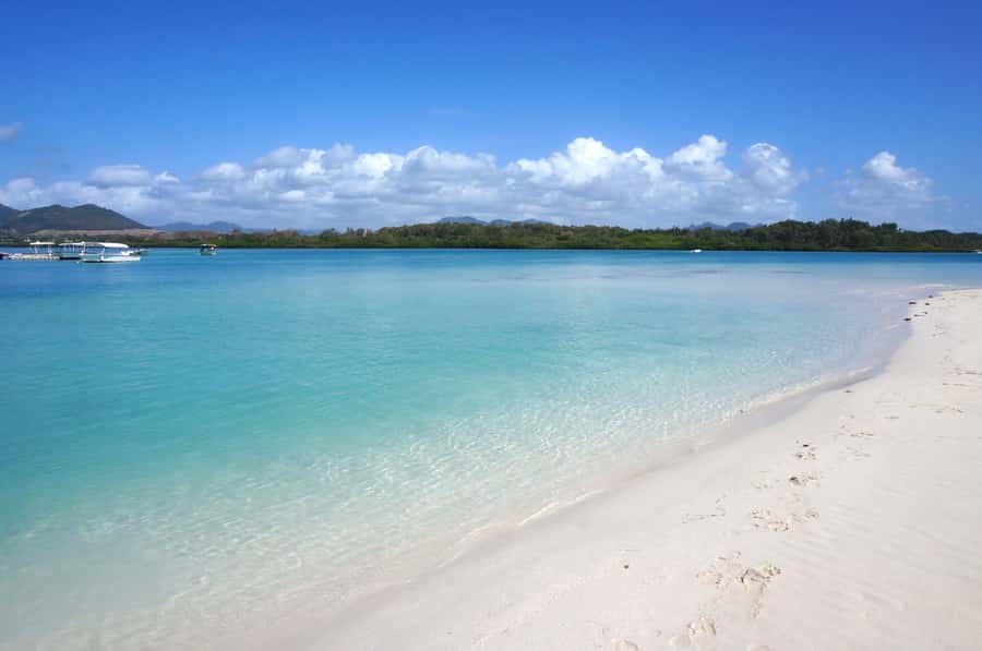 La Preneuse: Dolphin Swimming and Snorkeling Speedboat Trip - La Preneuse Dolphin Swim: What the 150-Minute Plan Actually Feels Like