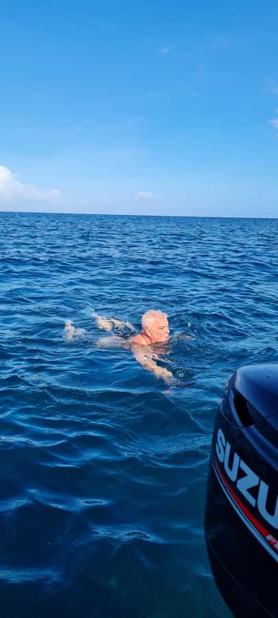La Preneuse: Dolphin Swimming and Snorkeling Speedboat Trip - Who This Trip Fits Best (and Who Should Rethink It)