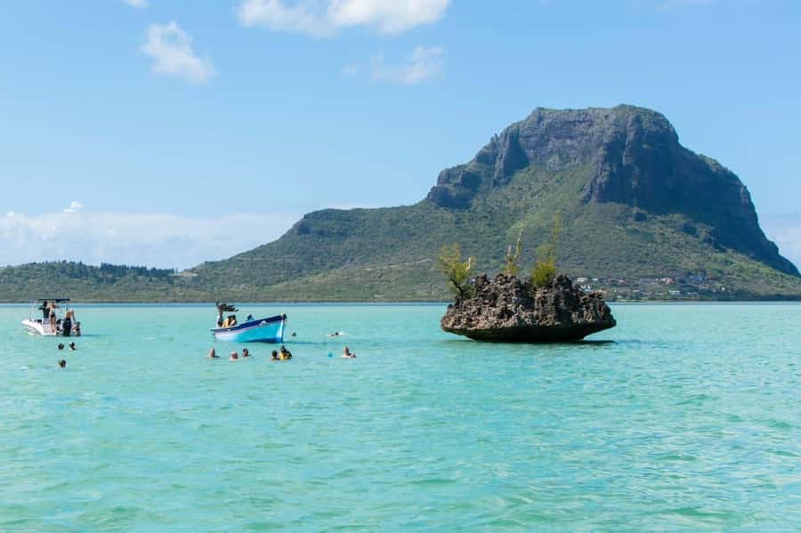 La Preneuse: Dolphin Watching and Snorkeling Speedboat Tour - Wildlife etiquette and boat crowds: keeping the encounter calm