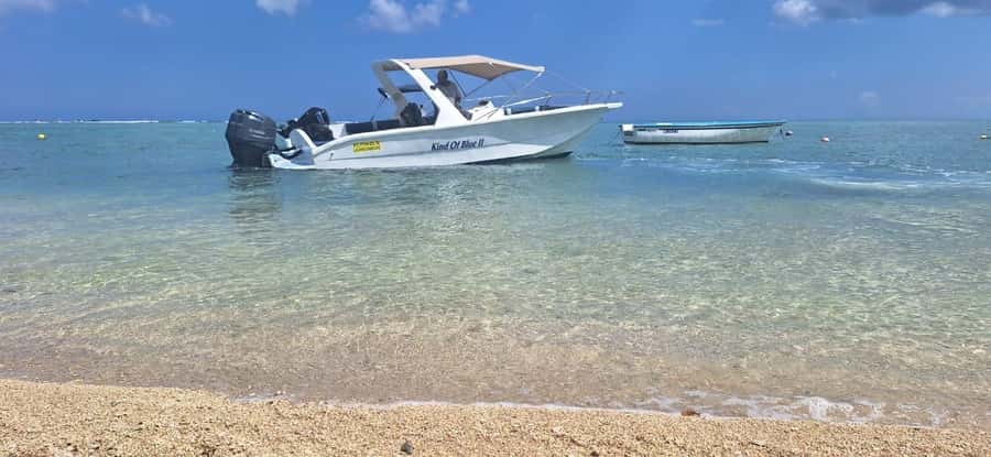 La Preneuse: Dolphin Watching and Snorkeling Speedboat Tour - What to pack and how to stay comfortable in Mauritius sun
