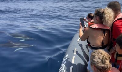 Lagoa: Dolphin Watching & Benagil Tour with Biologist Guide - From Capitão Nemo to open water: how the first stretch actually works