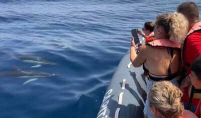 Lagoa: Dolphins Expedition with biologist guide on board - Getting to Capitão Nemo Algarve in Parchal (and why it matters)