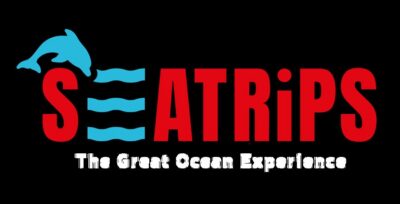 Lagos: Combo Dolphin and Benagil Tour with Marine Biologist - Dolphin watching off Lagos with a marine biologist