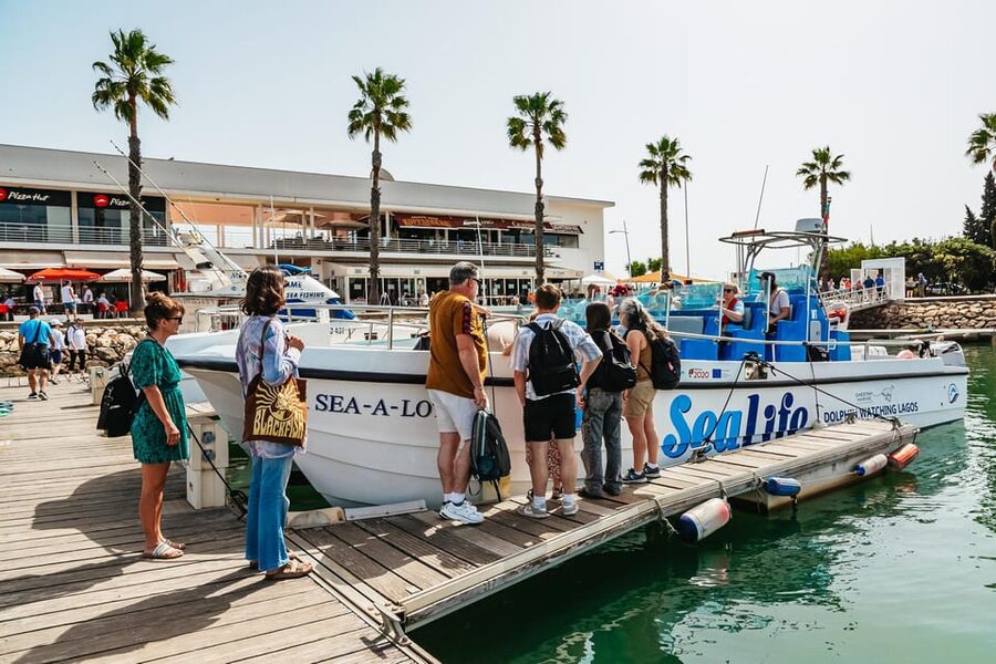 Lagos: Dolphin Watch Tour with Professional Marine Biologist - The decision: should you book this Lagos dolphin tour?