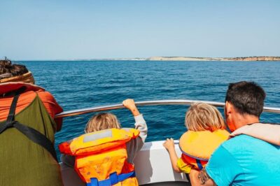 Lagos: Dolphin Watch Tour with Professional Marine Biologist - The 90-minute Atlantic search: what the speedboat time feels like