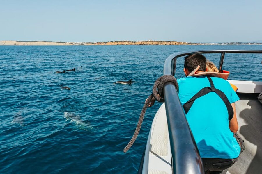 Lagos: Dolphin Watch Tour with Professional Marine Biologist - Who this fits best (and who should think twice)